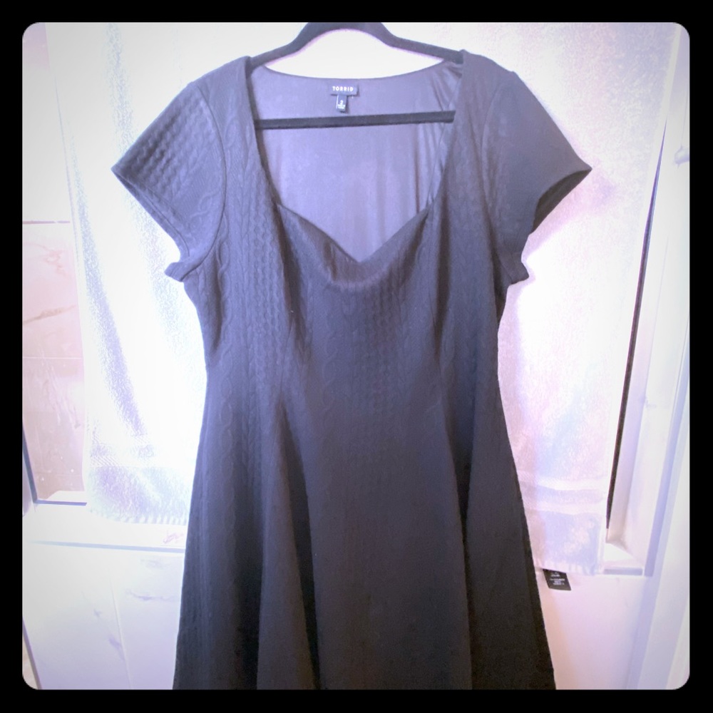 NWOT Never worn skater dress